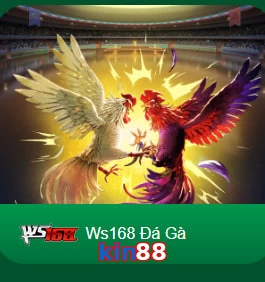 kin88
